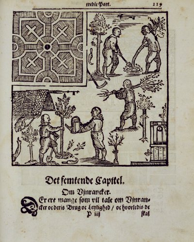 Piantare alberi, da Il Giardiniere Olandese di Johann van der Groen, pubblicato 1699 da Dutch School