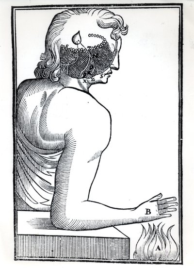 La percezione dei sensi, da De Homine Figuris di René Descartes (1596-1650) pubblicato ad Amsterdam, 1677 da Dutch School