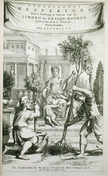 Pagina del titolo da 