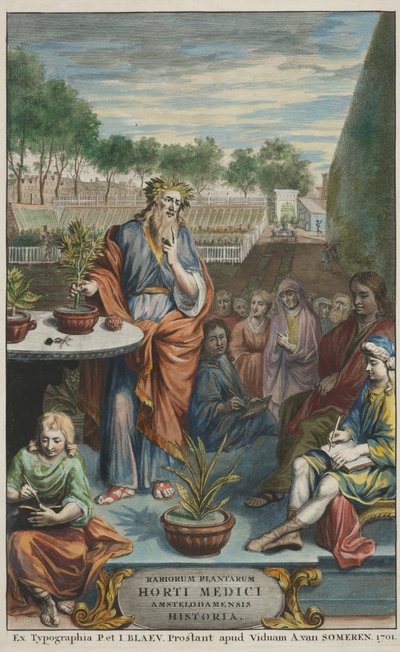 Pagina del titolo da "Horti Medici Amstelodamensis Rariorum Plantarum Historia" vol. II, di Jan Commelin e Caspar Commelin da Dutch School