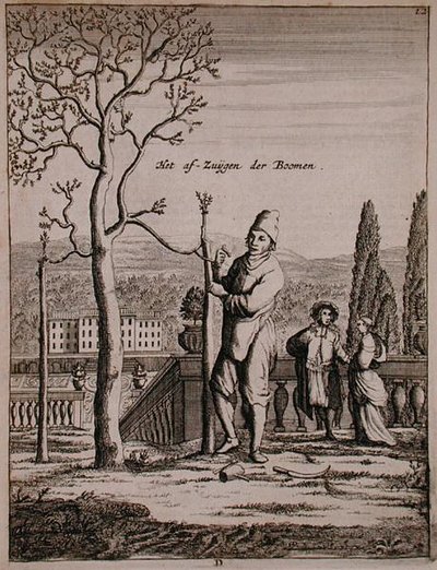 Addestramento di un espallier, da 