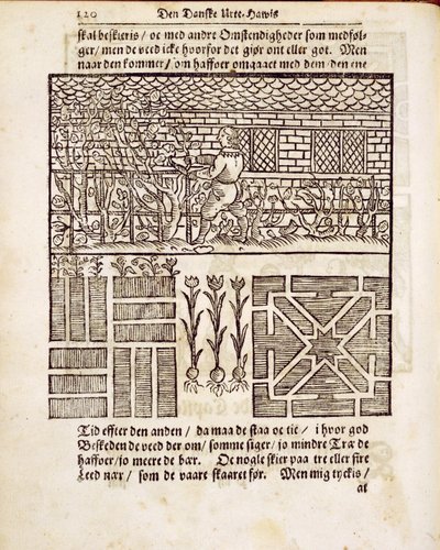 Addestramento e piantagione nel giardino, da Il Giardiniere Olandese, di Johann van der Groen, pubblicato 1699 da Dutch School