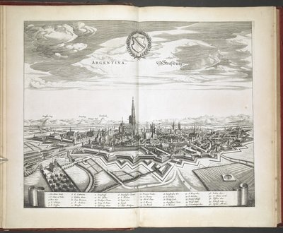 Veduta di Strasburgo da 