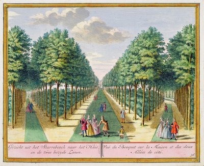 Vista del bosco verso la casa e le due vie laterali, Watervliet, da Het Zegenpralent Kennemerlant, di Hendrick de Leth e Matthias Brouerius Van Nidek, pubblicato c.1700-1730 da Dutch School