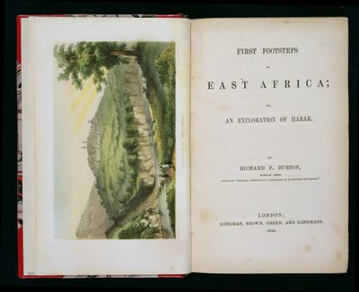 Harar dal Ruscello del Caffè, da First Footsteps in East Africa: An Exploration of Harar, di Richard F. Burton, inciso da M & N Hanhart da Duteroq