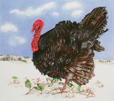 Tacchino Nero con Bacche di Neve, 1996 da E.B. Watts