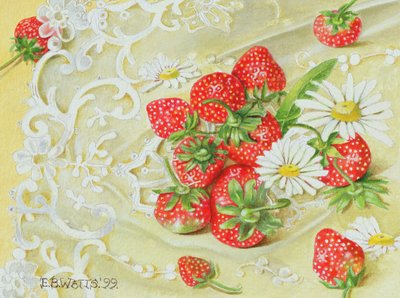 Fragole su Pizzo, 1999 da E.B. Watts