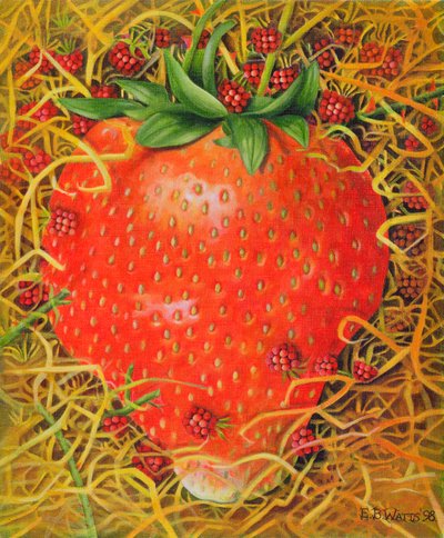 Fragola nella Paglia, 1998 da E.B. Watts
