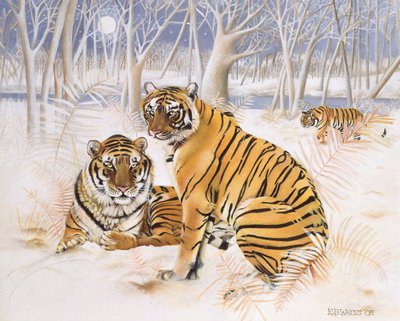 Tigri nella neve, 2005 da E.B. Watts