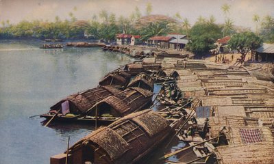 Ceylon ..., c1920 da ENA