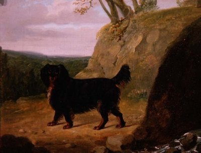 Un Cocker Spaniel nel Paesaggio da E.W. Gill