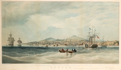 Vista di Dundee dal fiume da E. Duncan