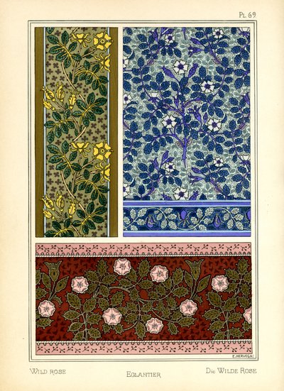 La Rosa Selvatica da E. Hervegh