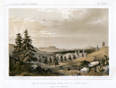 La Foresta Nera Mount Hope e Sierra Prieta, USA da E Stout