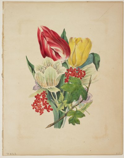 Bouquet di tulipani, da 