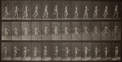 Locomozione Animale, Tavola 174, 1887 da Eadweard Muybridge