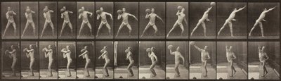 Locomozione Animale, Tavola 319 da Eadweard Muybridge