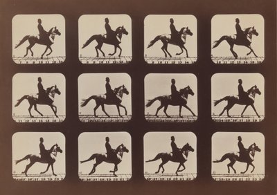 Atteggiamenti degli animali in movimento da Eadweard Muybridge
