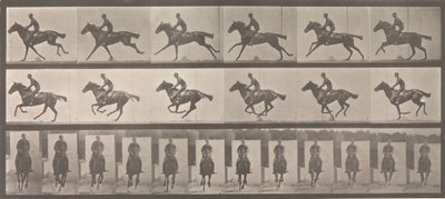 Cavaliere e cavallo al galoppo da Eadweard Muybridge