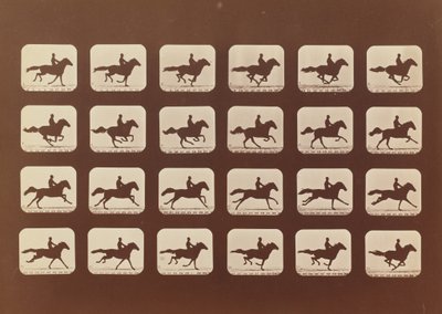 Cavalli in corsa. Phyrne L. No. 40, 1879 da Eadweard Muybridge