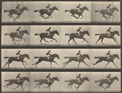 Tavola numero 626. Galoppo, cavalla baia purosangue, Annie G., 1887 da Eadweard Muybridge
