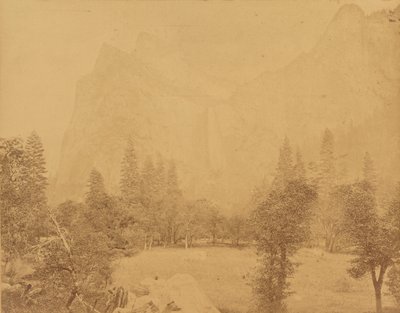 Pohona. Valle dello Yosemite. da Eadweard J. Muybridge