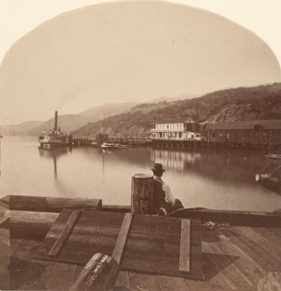 Sausalito dal molo N.P.C.R.R., vista verso sud, ca. 1868 da Eadweard Muybridge
