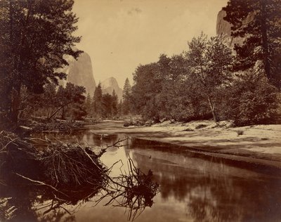 [Sylvan Bar. La valle dello Yosemite]. da Eadweard J. Muybridge