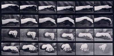 Studio del movimento di una mano, c.1872-1885 da Eadweard Muybridge