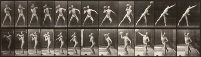 Locomozione animale (piatto 319) (Uomo che lancia una palla) da Eadweard Muybridge