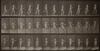 Locomozione animale, tavola 174 da Eadweard Muybridge