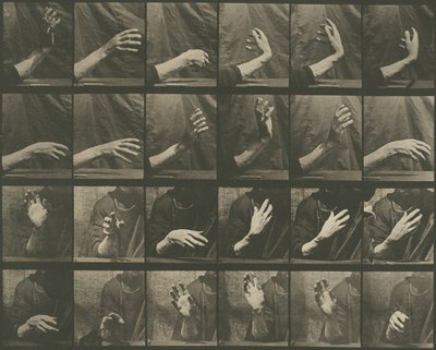 Locomozione animale, tavola 535 da Eadweard Muybridge