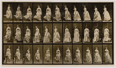 Scendere le scale e girare, dal libro La locomozione degli animali da Eadweard Muybridge