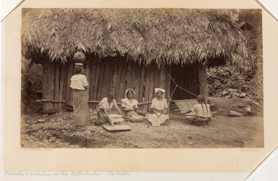 Occupazioni domestiche dei raccoglitori di caffè, Las Nubes, Guatemala da Eadweard Muybridge