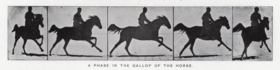 Eadweard Muybridge: Una fase del galoppo del cavallo (foto in bianco e nero) da Eadweard Muybridge