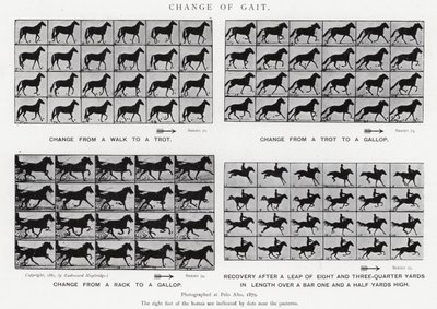 Cambio di andatura da Eadweard Muybridge