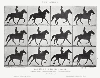 Eadweard Muybridge: L