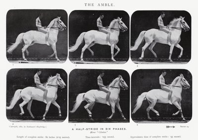 Eadweard Muybridge: L