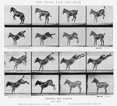 Eadweard Muybridge: Il calcio e il calcio da Eadweard Muybridge