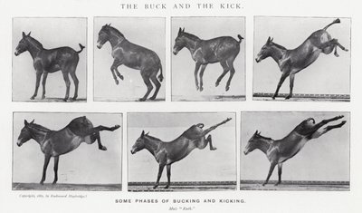 Eadweard Muybridge: Il calcio e il calcio all