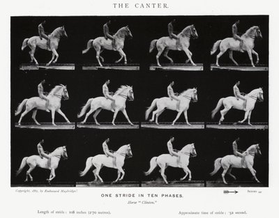 Eadweard Muybridge: Il galoppo (foto in bianco e nero) da Eadweard Muybridge