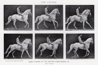 Eadweard Muybridge: Il galoppo da Eadweard Muybridge