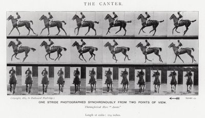 Eadweard Muybridge: Il galoppo lento da Eadweard Muybridge