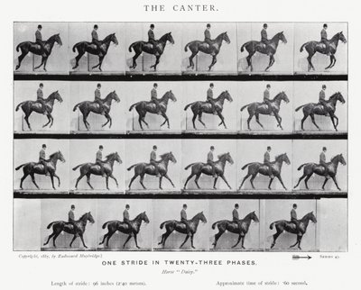 Eadweard Muybridge: Il galoppo lento da Eadweard Muybridge