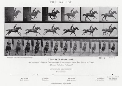 Eadweard Muybridge: Il galoppo da Eadweard Muybridge