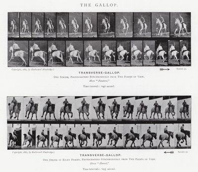 Il galoppo da Eadweard Muybridge