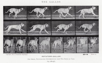Eadweard Muybridge: Il galoppo da Eadweard Muybridge