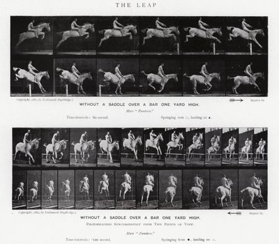 Eadweard Muybridge: Il salto da Eadweard Muybridge