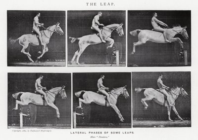 Il salto da Eadweard Muybridge