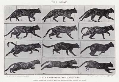 Il salto da Eadweard Muybridge